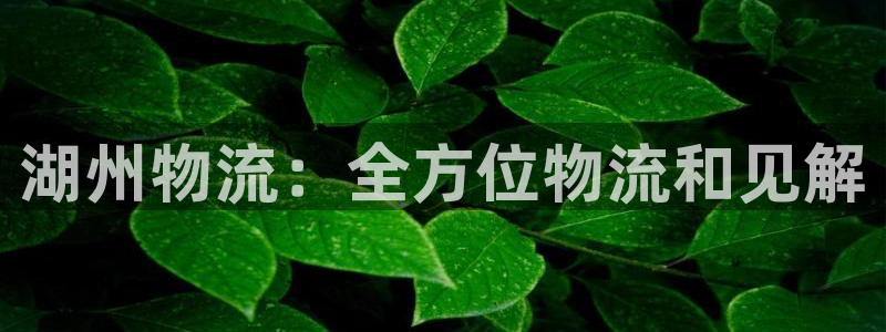 28圈现在狂杀