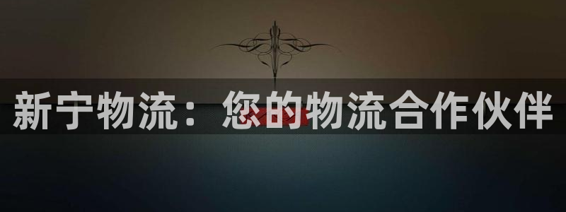 28圈注册送：新宁物流：您的物流合作