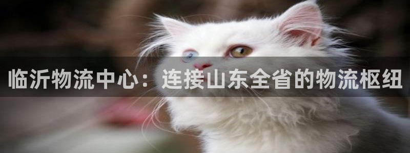 28圈怎么下载教程