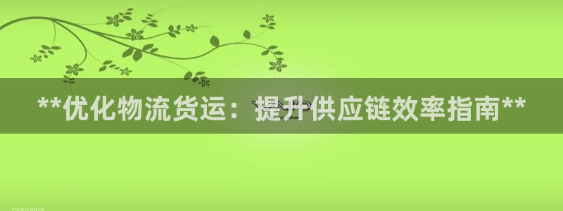 28圈注册账号：**优化物流货运：提