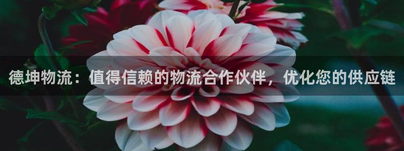 28圈分分压单双技巧