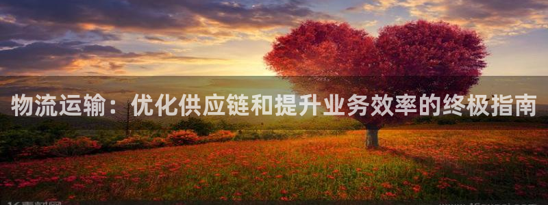 28圈电子游戏