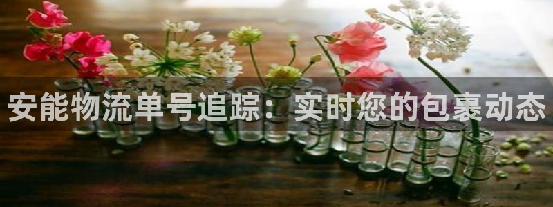 28圈.ccmpc28