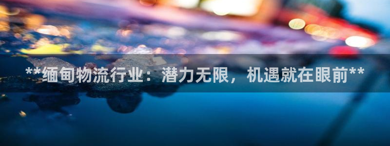 28圈加拿大最新版：**缅甸物流行业