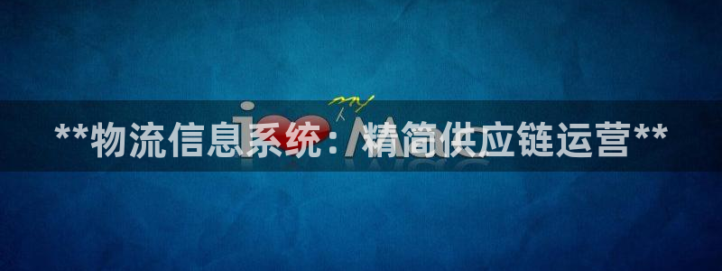28圈加拿大6.0：**物流信息系统