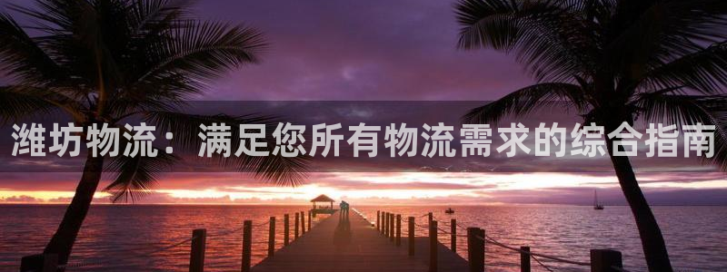 28圈官方版网站：潍坊物流：满足您所