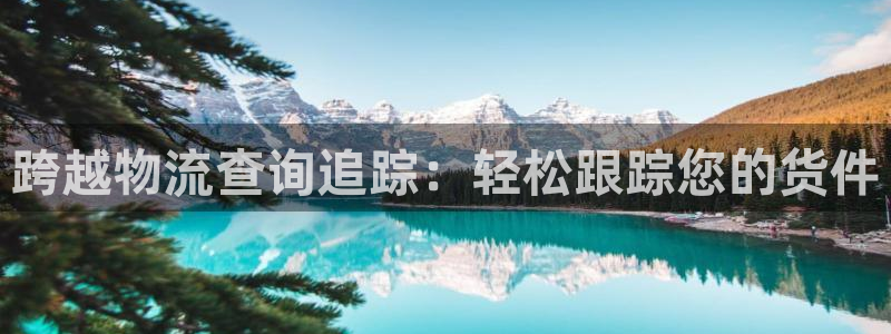 28圈注册号：跨越物流查询追踪：轻松