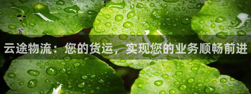 麻将128圈：云途物流：您的货运，实