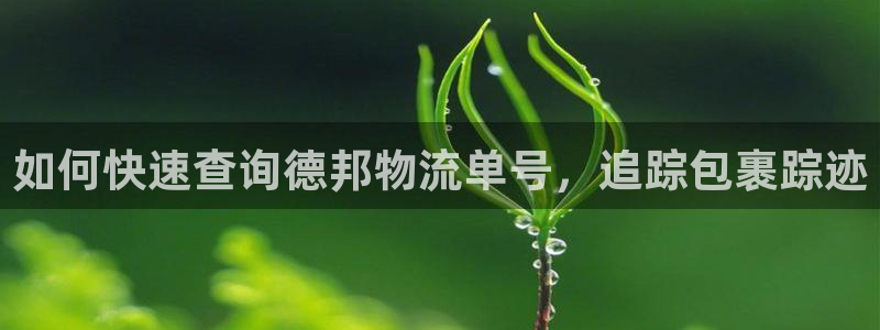 28圈登录网：如何快速查询德邦物流单