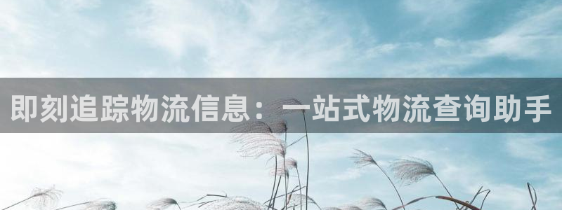 加拿大28圈数字规则