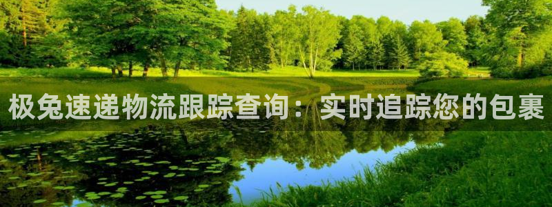 28圈p扣款什么意思