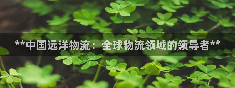 28圈退款