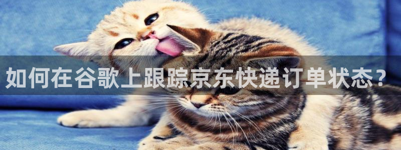 28圈.ccmpc29官网版：如何在