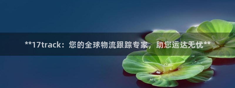 28圈怎么下载教程