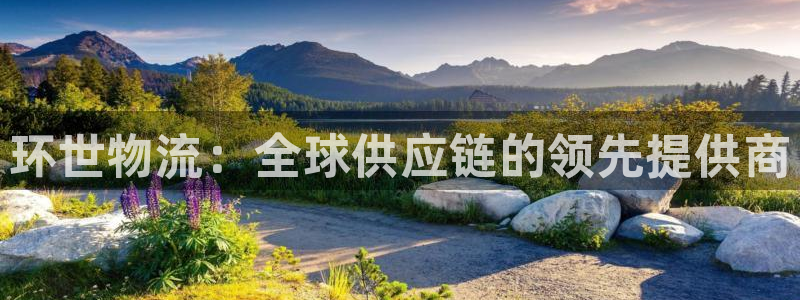 28圈怎么下载