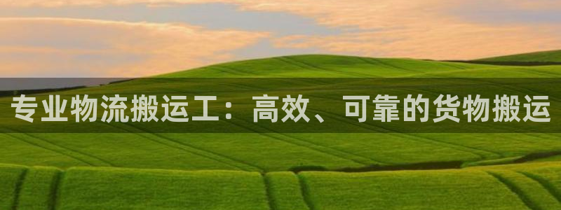 28圈是正规软件吗：专业物流搬运工：