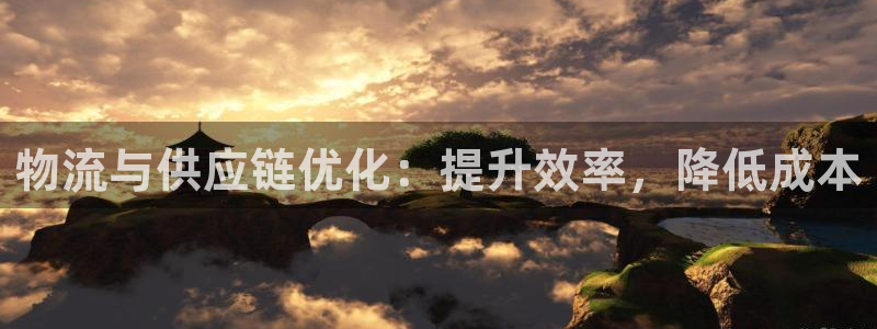 28圈麻将：物流与供应链优化：提升效