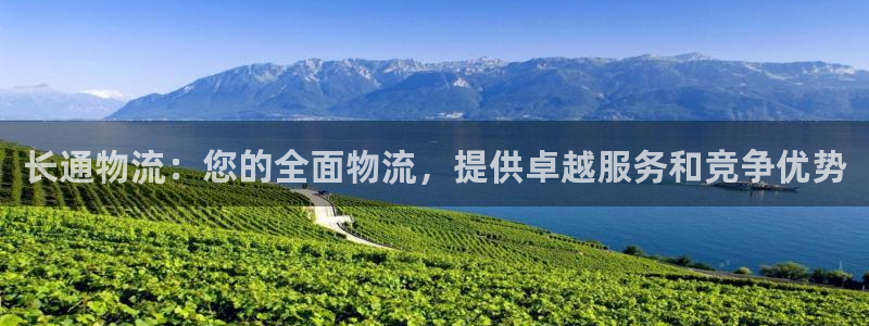 28圈注册与教程：长通物流：您的全面