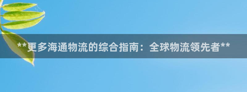 28圈官方官网：**更多海通物流的综