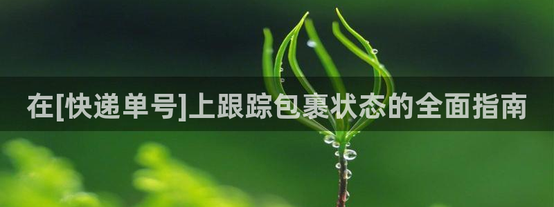 28圈反水什么时候到