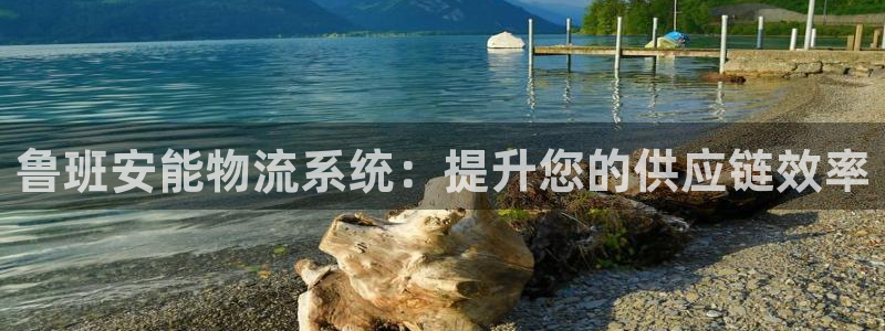 28圈注册登录流程：鲁班安能物流系统