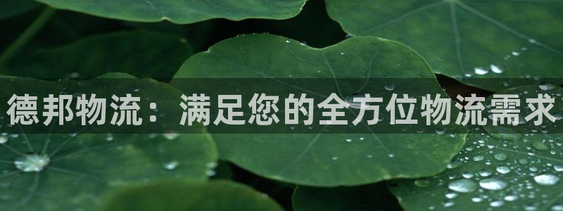 28圈推广链接是多少粉丝