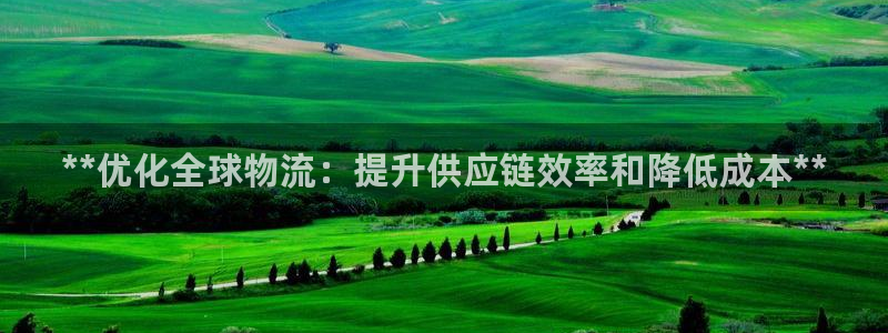 28圈新用户怎么注册：**优化全球物