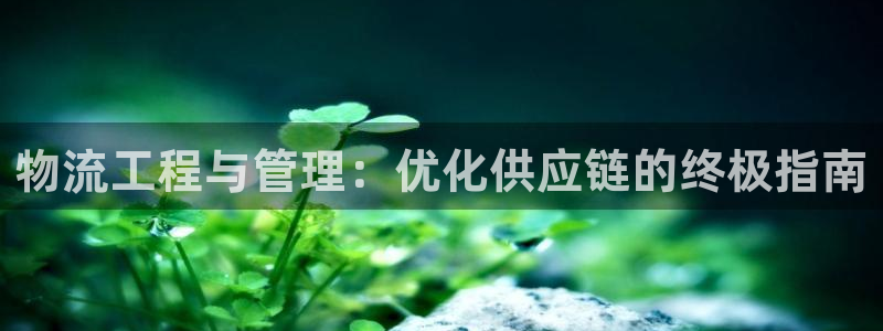 28圈.ccmpc正版