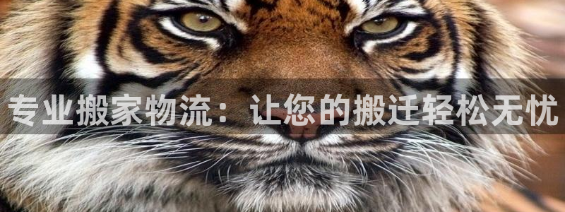 28圈分分28预测