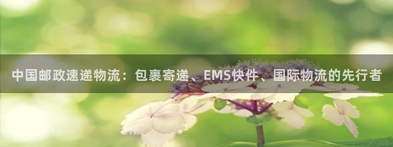 28圈违法吗：中国邮政速递物流：包裹