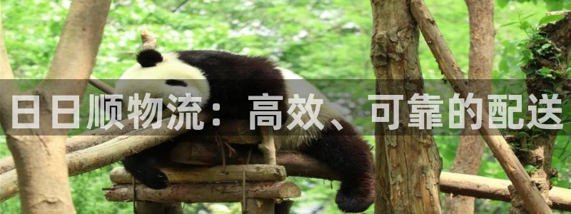 28圈分分28输了能不能退：日日顺物