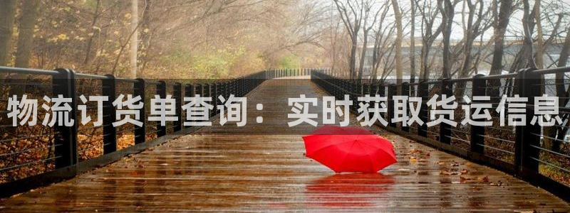 28圈网站怎么注册：物流订货单查询：