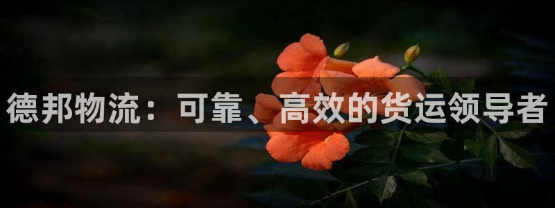 28圈相信品牌的力量：德邦物流：可靠