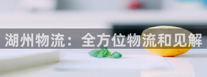 28圈电子游戏：湖州物流：全方位物流