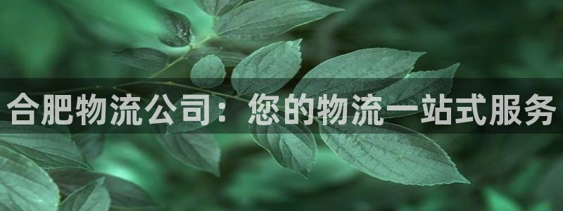 28圈app能退款吗：合肥物流公司：