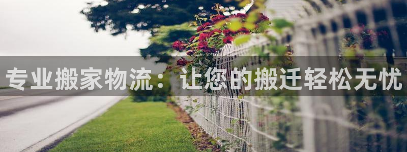 28圈h5链接：专业搬家物流：让您的