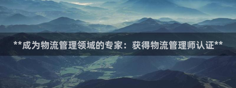 28圈游戏：**成为物流管理领域的专