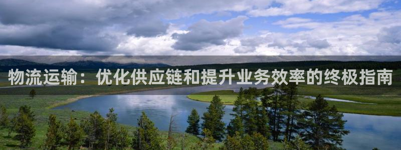 28圈大神预测：物流运输：优化供应链