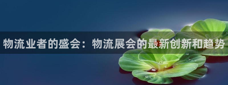 28圈玩法：物流业者的盛会：物流展会