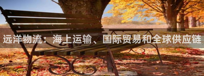 28圈下载体育
