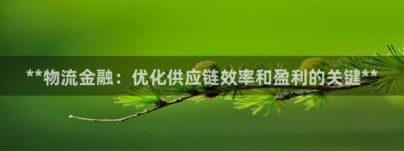 28圈注册地址：**物流金融：优化供
