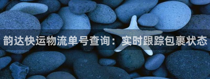 28圈游戏链接：韵达快运物流单号查询