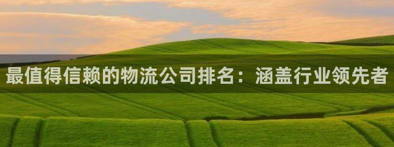 28圈大神预测