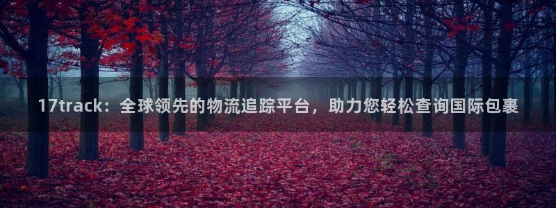 28圈注册号：17track：全球领