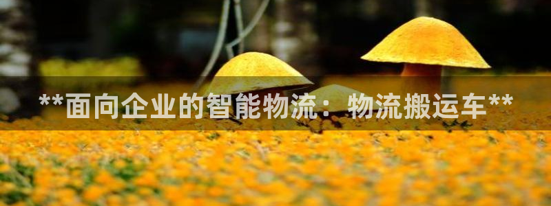 28圈下载二维码