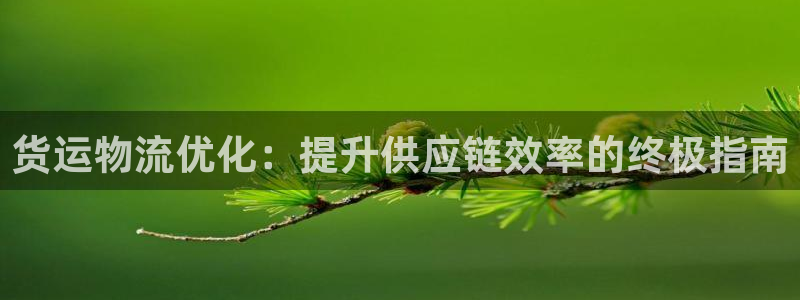 28圈麻将胡了：货运物流优化：提升供