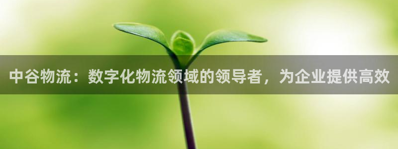 28圈在线预测：中谷物流：数字化物流