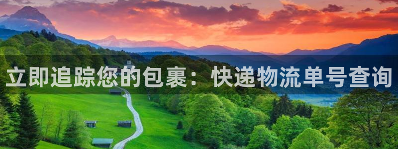 28圈注册网站链接是什么：立即追踪您
