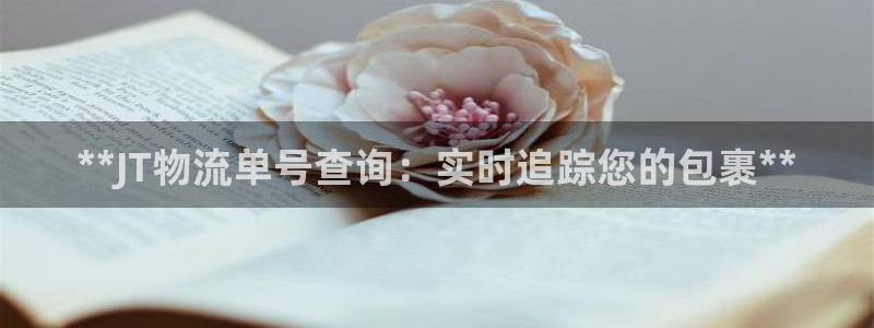 28圈官方网站