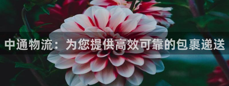 28圈注册网站谁有：中通物流：为您提